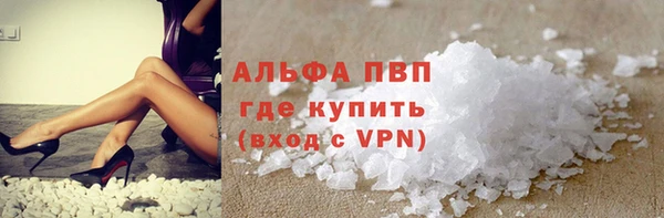 СК Новозыбков