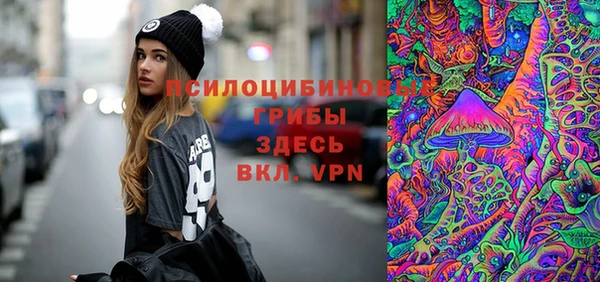 синтетический гашиш Няндома