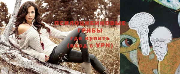 синтетический гашиш Няндома