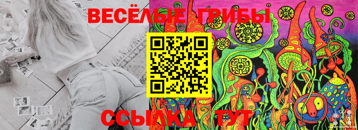 Галлюциногенные грибы Magic Shrooms Коркино