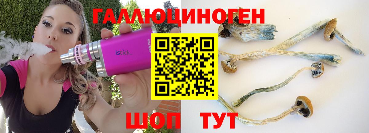 Псилоцибиновые грибы ЛСД  Псилоцибиновые грибы MAGIC MUSHROOMS  Вход с VPN  Коркино 